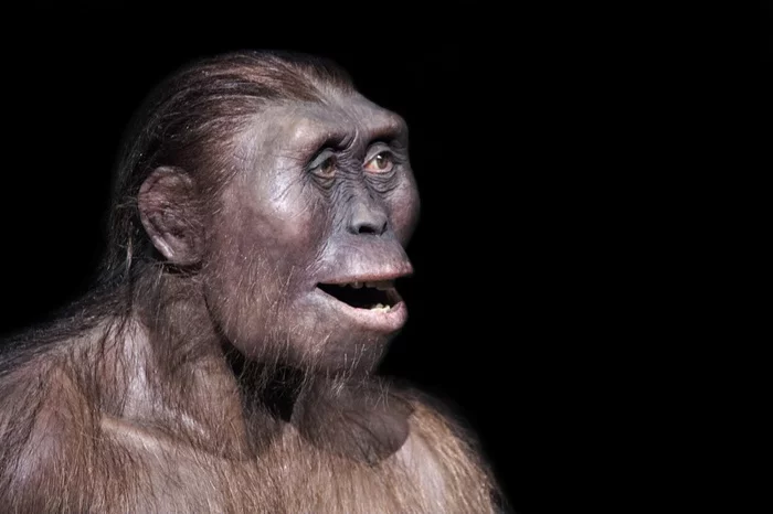 Smile, hominid! Scientists have discovered how humanity learned to smile to get sex - Person, Sex, Story, Disgusting Men, Longpost