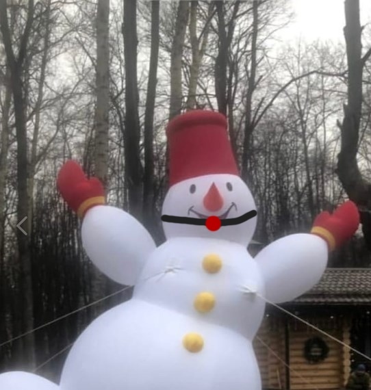 Something new about Ryazan snowmen - Ryazan, New Year's Capital of Russia