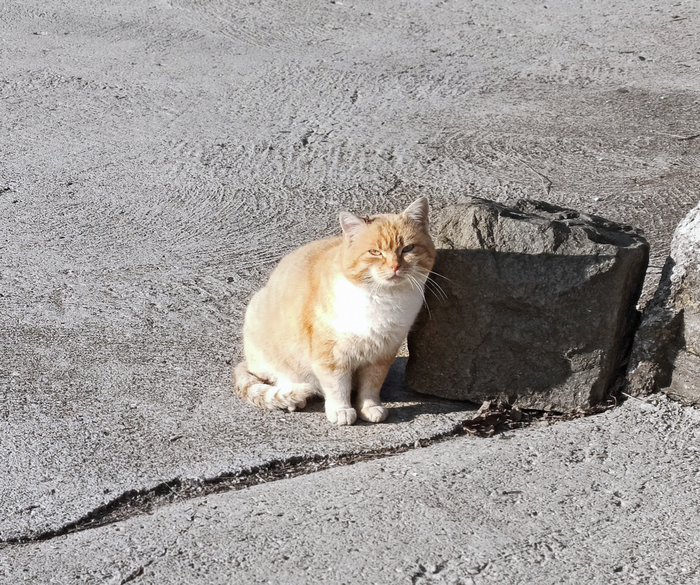 Зимняя Рашка Сербия, Город, Горы, Фотография, Путешествия, Длиннопост