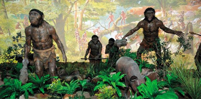 The first “domesticated” animal was man himself - Person, Neanderthal, Denisovsky Man, Domestication, Longpost, Anthropology, The science