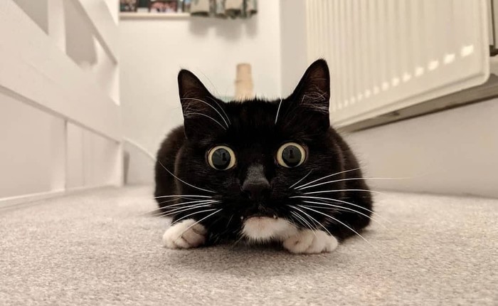 ����� ������ ���-�� ����������