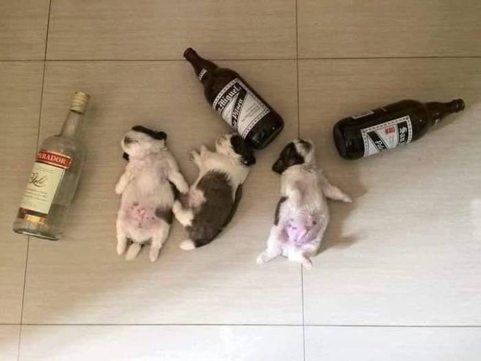 ���� �������