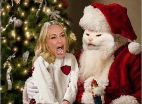 Holiday greetings! - Memes, cat, Two women yell at the cat, New Year, Holidays, Santa Claus