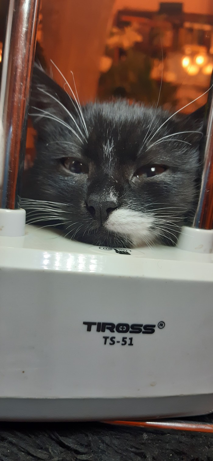   , , ,  , , 