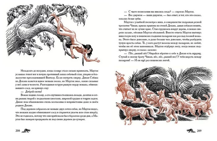 Рыжие собаки из "Маугли" - кто это? Маугли, Книга джунглей, Красный волк, Природа, Интересно узнать, Длиннопост