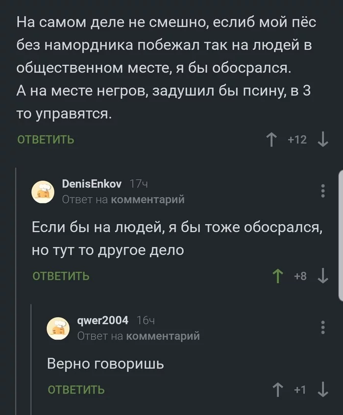 How spoiled we are)) - Racism, Dog, Black people, Comments on Peekaboo, The chef is a racist, Screenshot