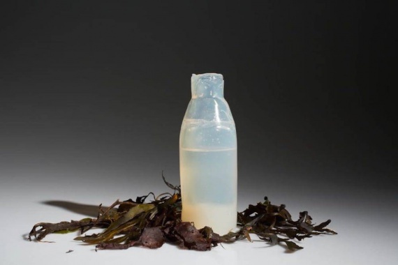 Biodegradable algae bottles - Ecology, Plastic, Interesting, Inventions, Biological waste