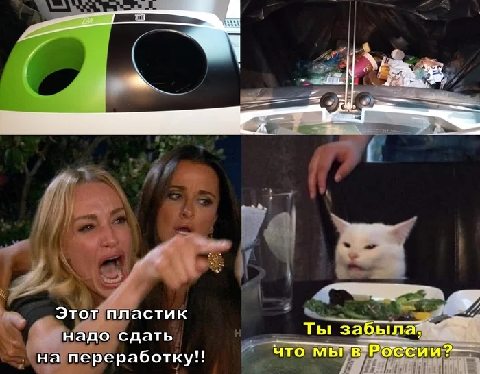 One day - Memes, Separate garbage collection, Russia, Two women yell at the cat, The photo, Garbage