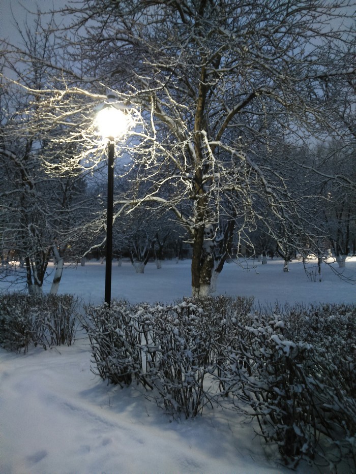 ����. ����