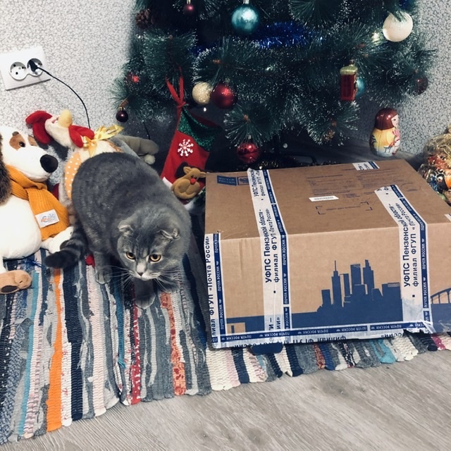 The story of how the New Year's mood jumped out of the box and took the whole family hostage :) - My, Secret Santa, New Year's gift exchange, Gift exchange report, Longpost, Gift exchange