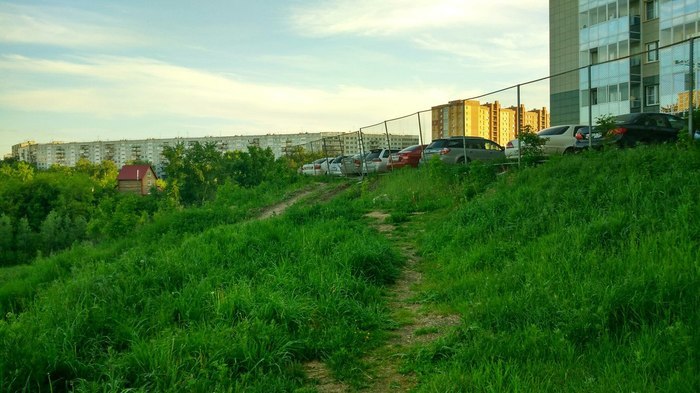 Bridge of discord or 3-year confrontation - Novosibirsk, Bridge, Video, Longpost