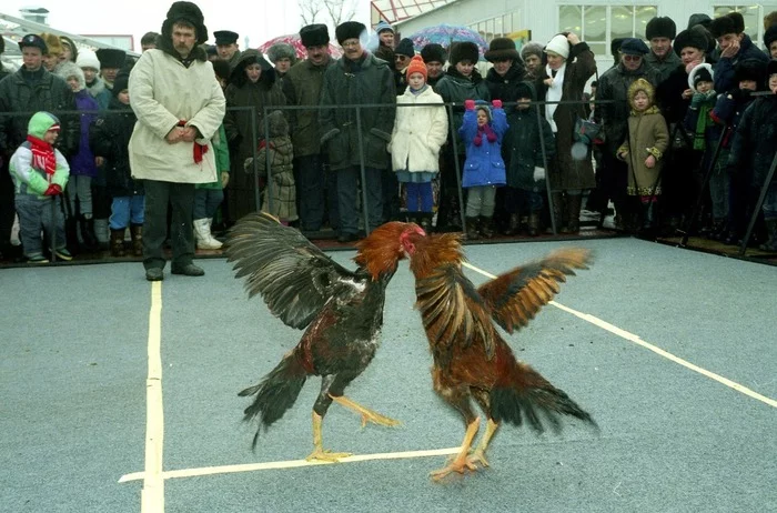 7 атмосферных фото из 90-х, на которых показано настоящее веселье