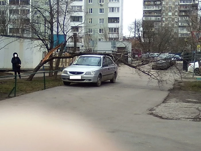 Москва 19.12.2019 - Моё, Ураган, Москва, Ветер, Будьте осторожны, Бдительность, Без рейтинга