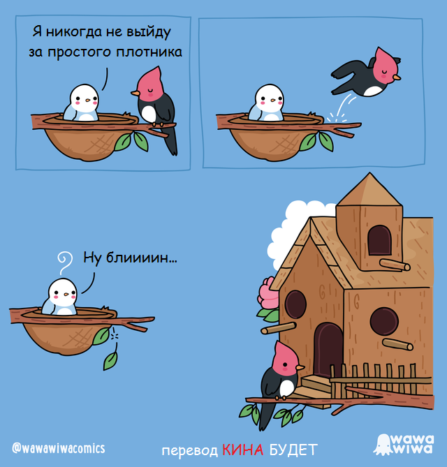 About the picky bird... - Birds, Guys, Girls, A carpenter, Comics, Translated by myself, Wawawiwa