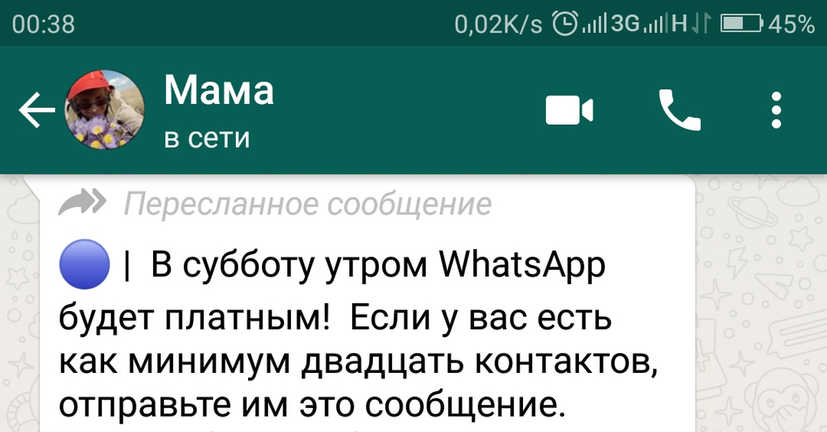 WHATSAPP мошенничество. Мошенники сообщение в ватсапе. Рассылки в WHATSAPP мошенники.