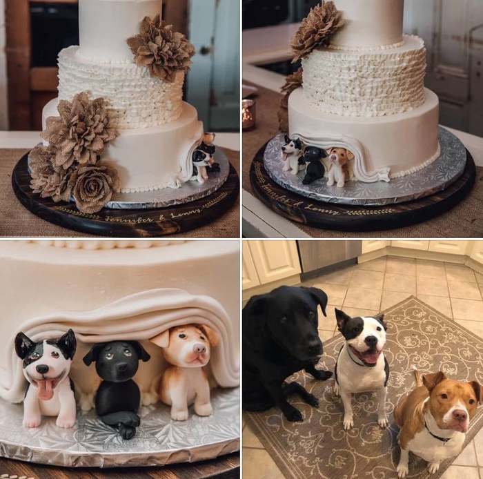 The newlyweds' dogs on the wedding cake? Why not... - Dog, Cake, Wedding, Milota