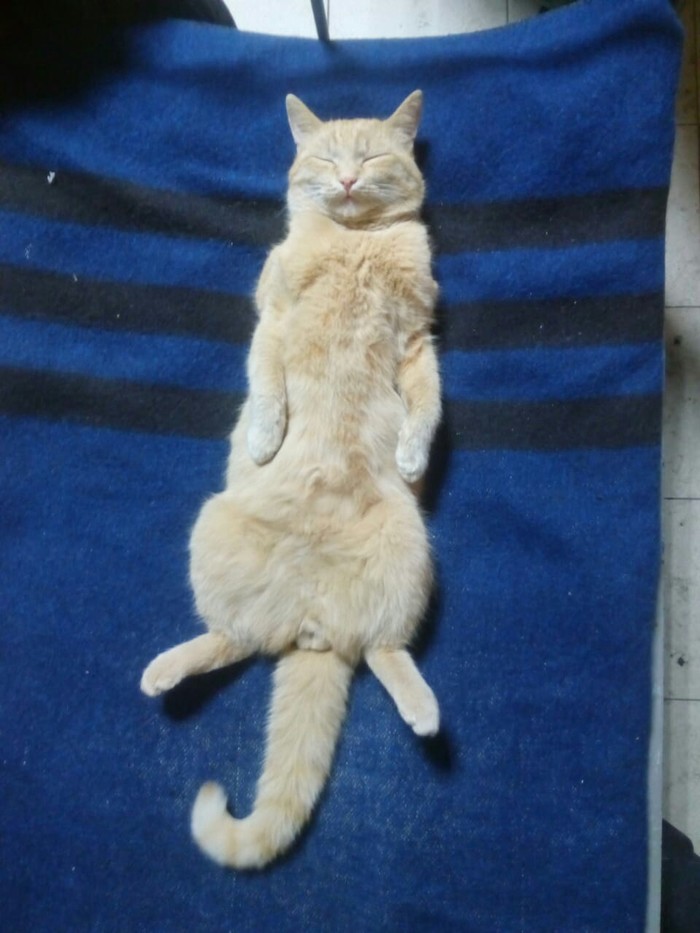 Солдат спит, служба - идёт!