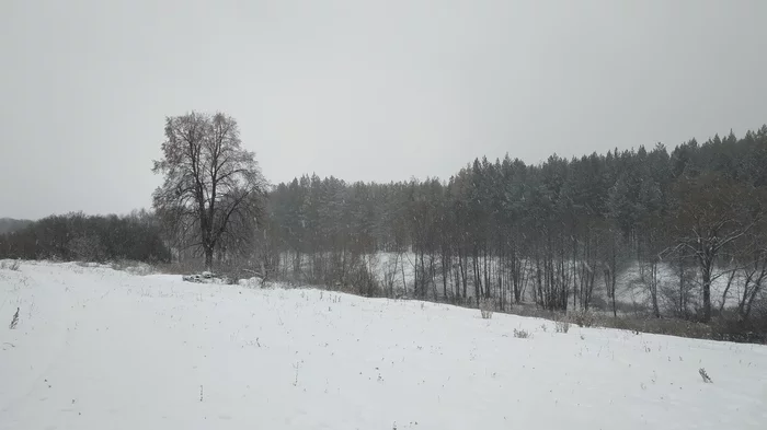 View from behind my house in the village - My, The photo, Landscape, Forest, Snowfall, Winter, Longpost