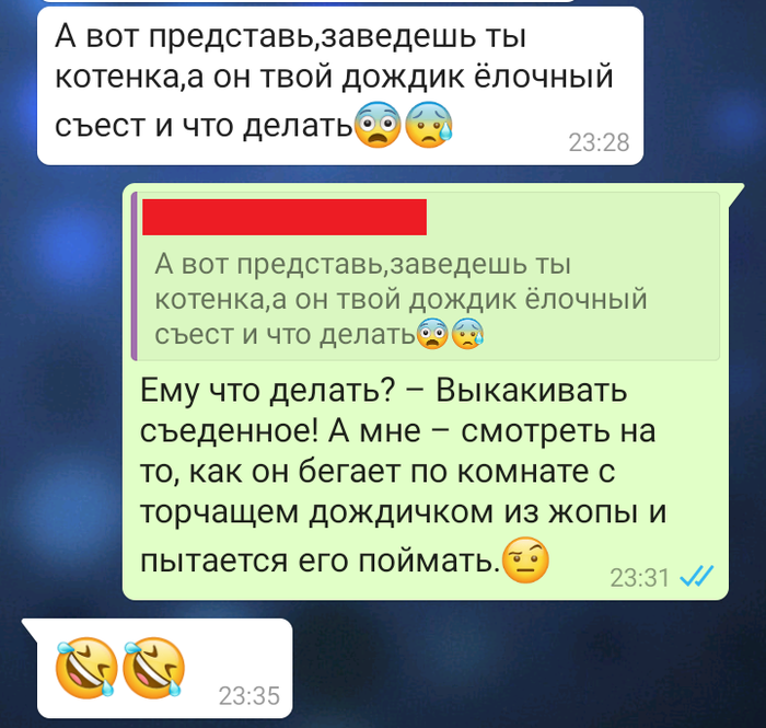 Новогодний котёнок!