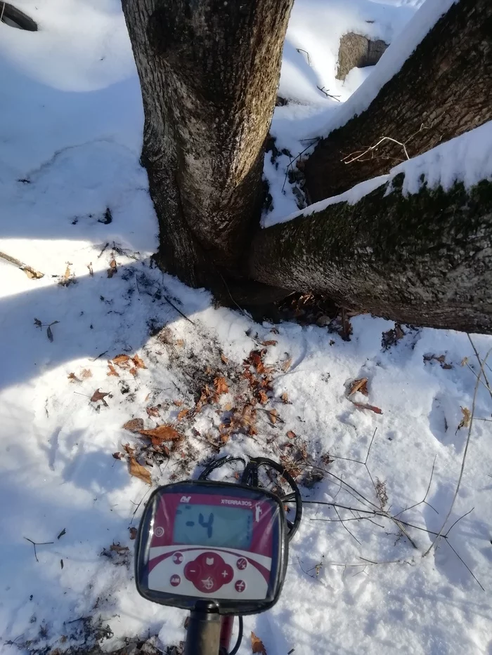 Winter outing - My, Metal detector, Primorsky Krai, Hiking, Forest, Dog, Longpost