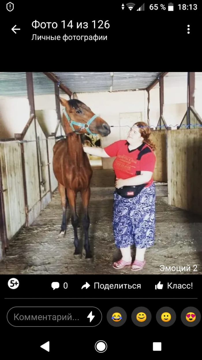 Я и мой конь