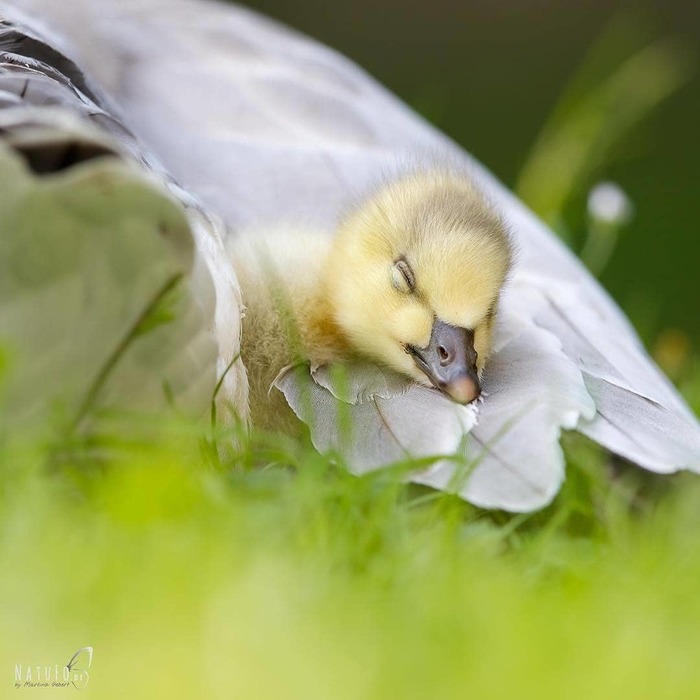 ������� ��� � ����� � ������������