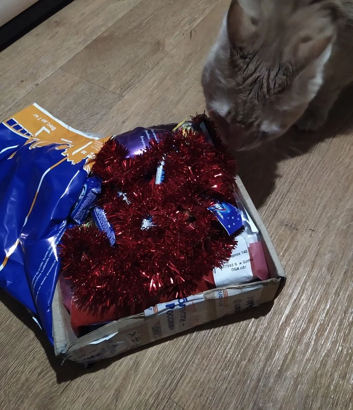 New Year's Exchange 2019/2020 - My, Gift exchange, Gift exchange report, New Year's gift exchange, Longpost, Secret Santa, cat