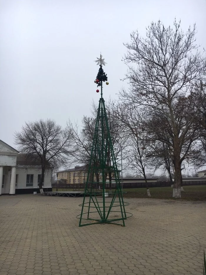 Sad Christmas tree - My, Краснодарский Край, New Year, Christmas tree, beauty, Fear, Kuban, Longpost