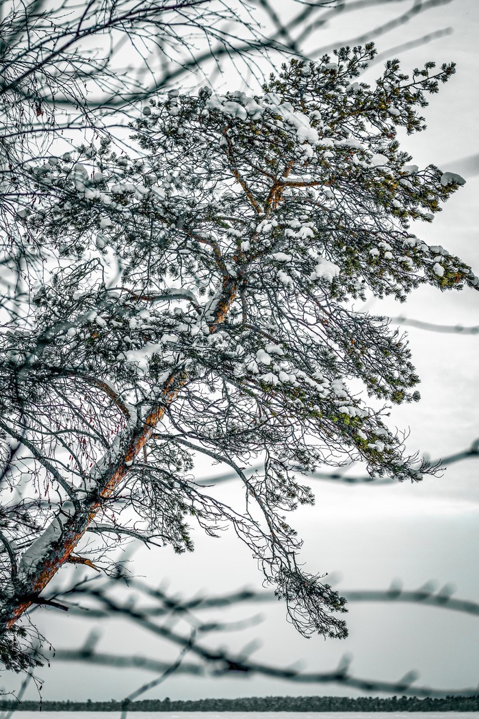  ,   ,    -...  , , , , Canon 70d, Lightroom mobile, , , 