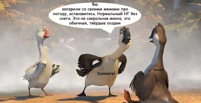 About the weather and geese - My, Гусь, Picture with text, Talk