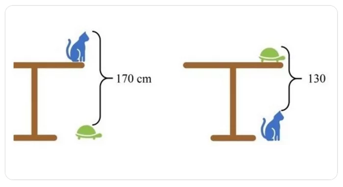 What is the height of the table? - Images, Task, Question