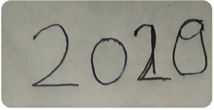       2020 