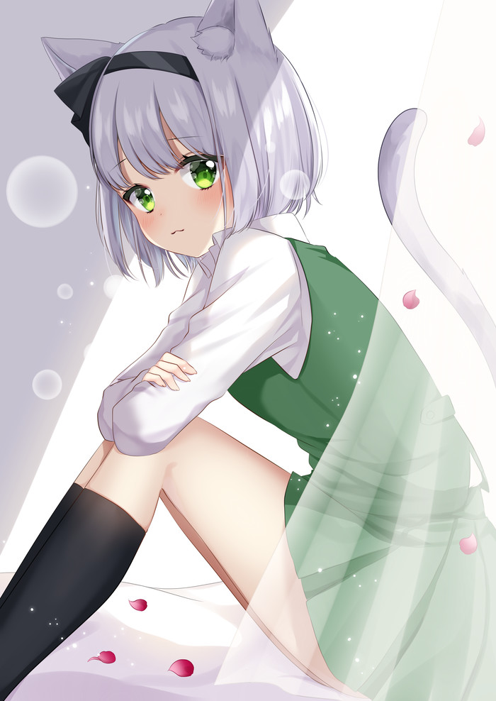 Neko Youmu