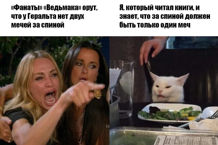 Why The Witcher is The Witcher from the world of The Witcher - Witcher, Netflix, Opinion, Longpost, Two women yell at the cat