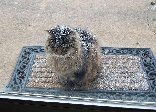 � ��������� ������, ������ �������