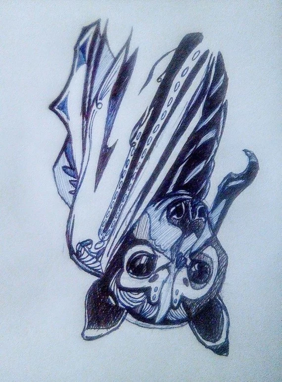 flying fox - Fox, Bat, Pen drawing, Stylization, Art