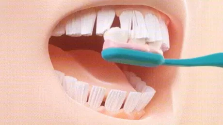 Teeth cleaning - Teeth, Toothbrush, Toothpaste