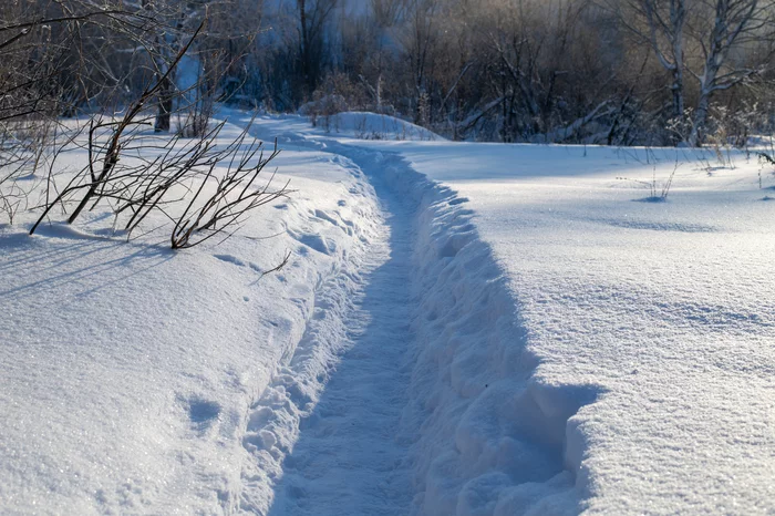 For those who miss snow - My, Siberia, Winter, Snow, Rowan, freezing, Landscape, Longpost