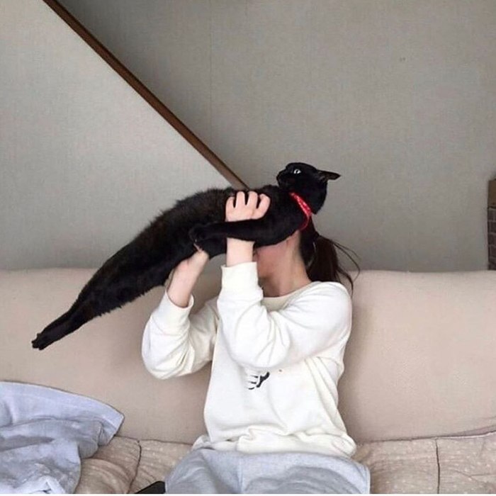 ����� ���� � ���, � ������ ��� �� �����