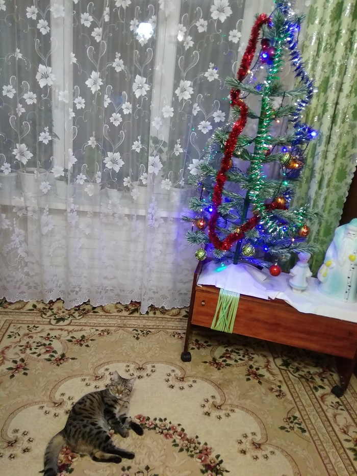 ��������� ��������������� ����