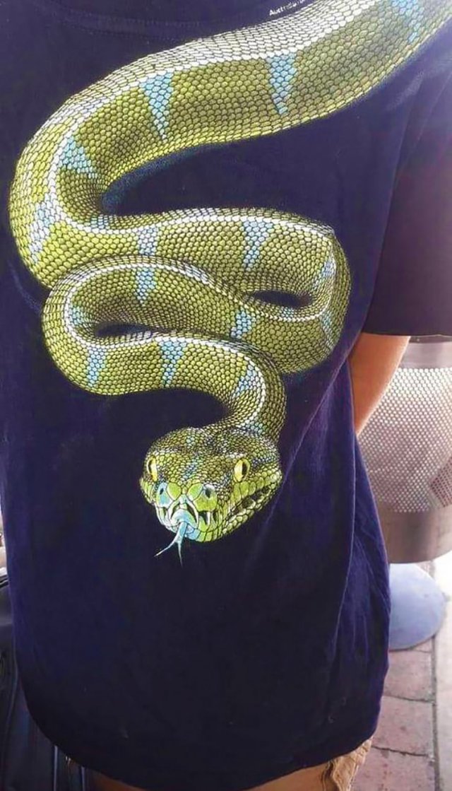 Ten-year-old boy was not allowed on a plane because of his T-shirt - Airplane, Safety, T-shirt, Snake, Longpost