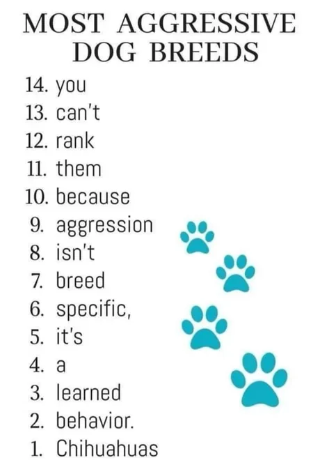 The most aggressive dog breeds - Dog, Breed, Picture with text, Chihuahua