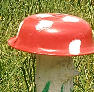 ������� ���� ��������