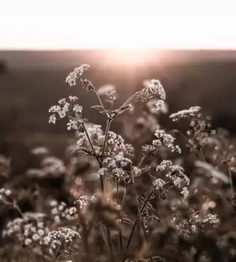 Время... - Моё, Время, Жизнь