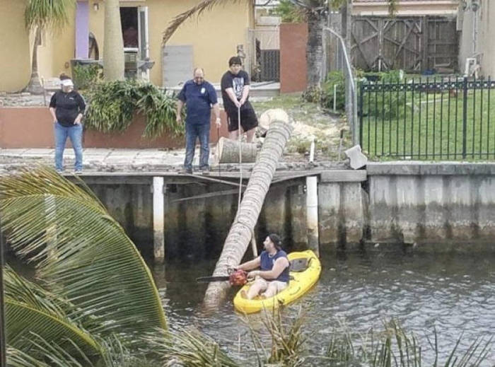 Bravery and stupidity! - Tree, Bravery and stupidity, Saw, Inflatable boat, The photo, Safety engineering