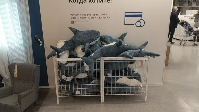 Shark. Ikea. Quest - My, Shark, IKEA, Longpost, Blohey