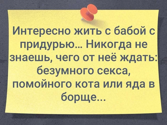 Сидела, женщина, скучала... - Моё, Любовь, Розыгрыш, Длиннопост