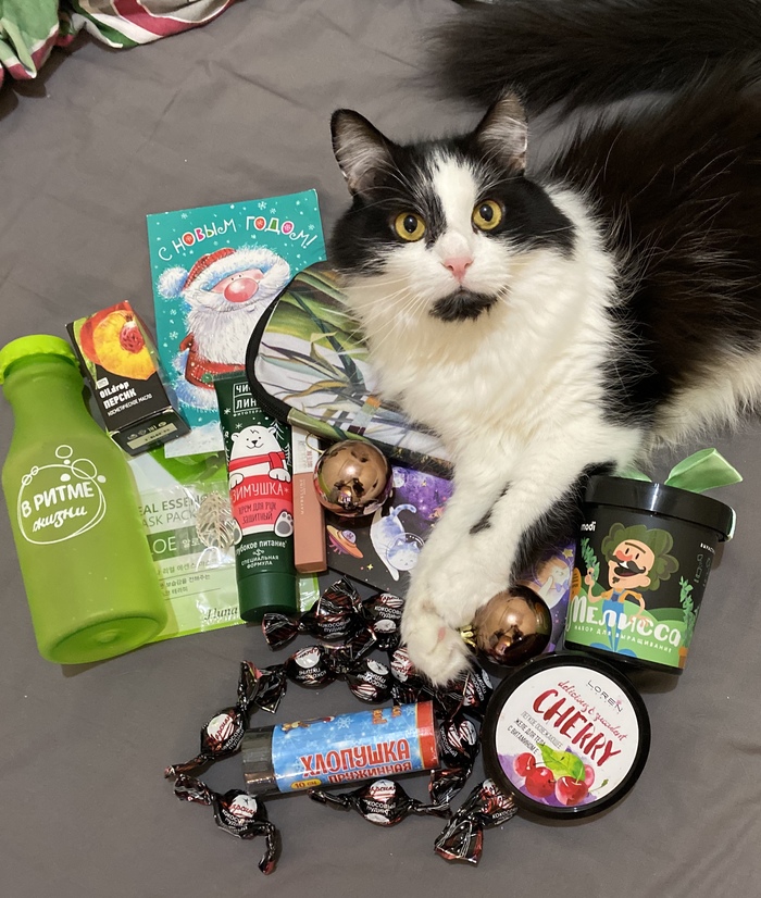 АДМ Монино-Краснодар 2019/2020