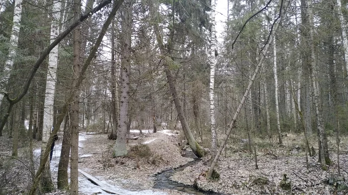 На стыке осени и зимы) Святой источник Никола Ключ - Моё, Святая вода, Вода, Природа, Снег, Мост, Переправа, Красота, Чистота, Длиннопост