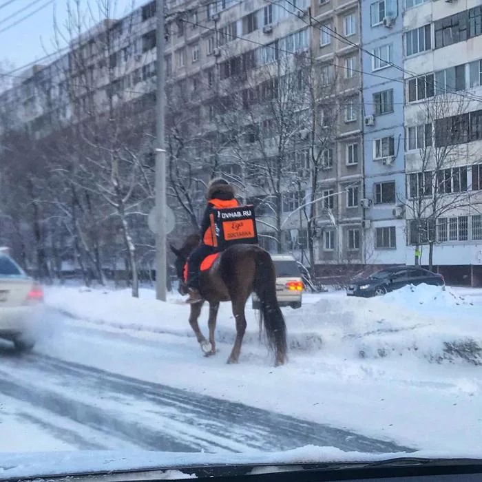 When snow and traffic jams are 9 points, and no one has canceled delivery - Food delivery, Delivery, Horses, Creative advertising, Khabarovsk